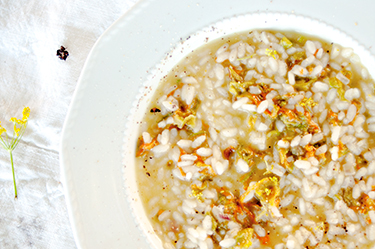 Risotto fiori zucchini