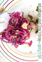 red cabbage salad